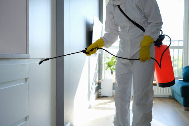 Professional Mold Remediation in Indianapolis, IN